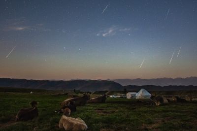 英仙座流星雨：今夜至明日凌晨，英仙座流星雨划过我国上空