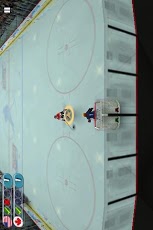 冰上曲棍球 Hockey Nati...游戏截图