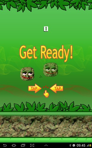 Flappy&#32;Ganja