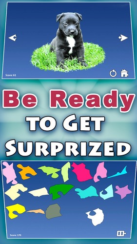 Shape&#32;Puzzles&#32;Pro&#32;-&#32;Assemble