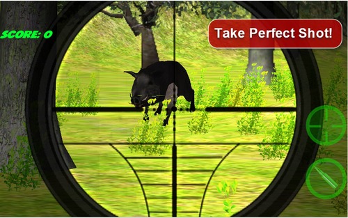 Sniper Boar Hunting 3D游戏截图