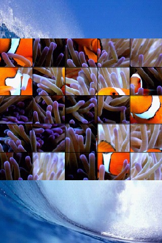 海洋生命拼图 Ocean Life Puzzle游戏截图