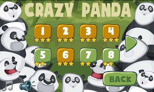 疯狂的熊猫 Crazy Panda游戏截图