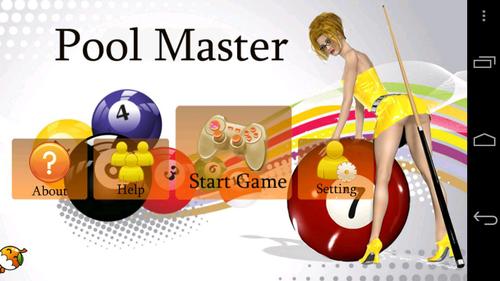 Pool Master Pro游戏截图