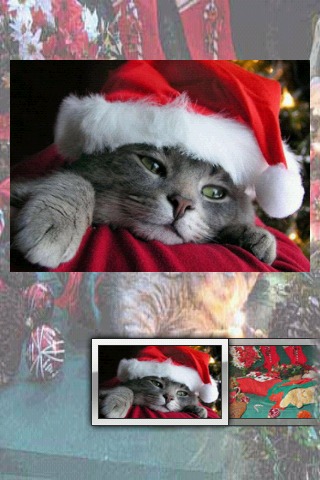 圣诞猫拼图 Christmas Cats Puzzle游戏截图