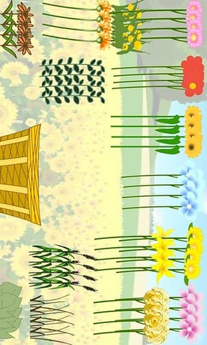 春天的野花游戏截图