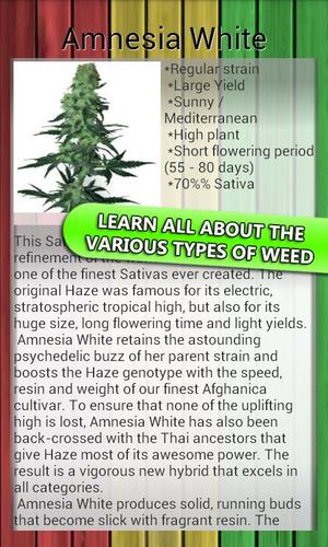 MyWeed - Grow Weed - Free游戏截图