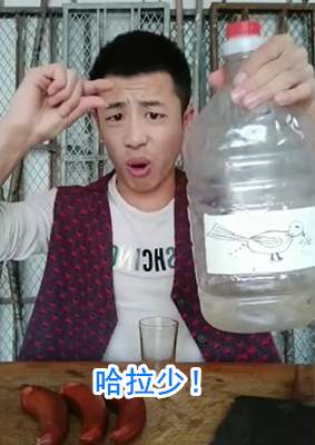 小鸟伏特加是什么梗