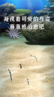 养育花园鳗的治愈游戏（测试版）