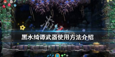 二师兄网1