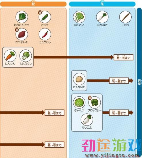 《牧场物语橄榄镇与希望的大地》种植作物要注意什么？种植要点分享