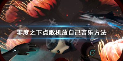 二师兄网1