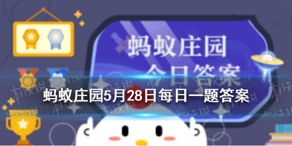 二师兄网1