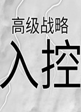 高级战略：入控 中文版