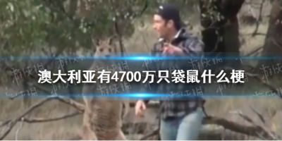 澳大利亚有4700万只袋鼠什么梗？最近有一个关于澳大利亚