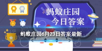 二师兄网1