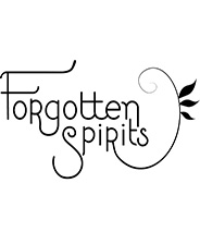 Forgotten Spirits单机游戏