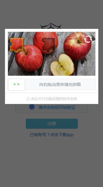 蛛网SpiderNetwork appAPP截图