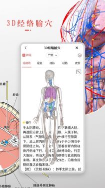 3Dbody解剖学软件