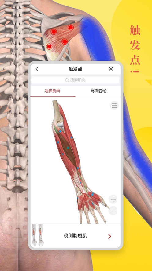 3Dbody解剖学软件APP截图