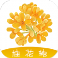 桂花转appAPP图标