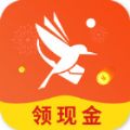 青鸟快讯app图标