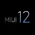 MIUI12内测申请答题图标