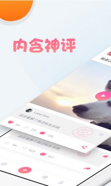 内含段友appAPP截图