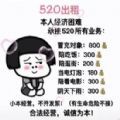 520出租自己价格表APP图标