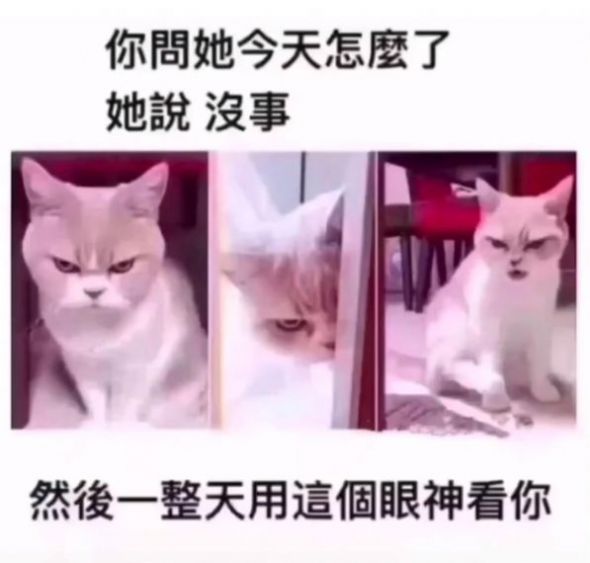 不求被全世界宠爱背景图APP截图