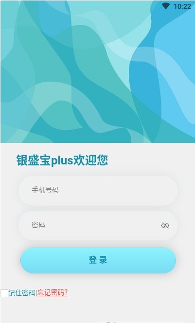 银盛宝plusAPP截图