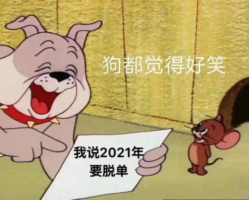 2021续费图片