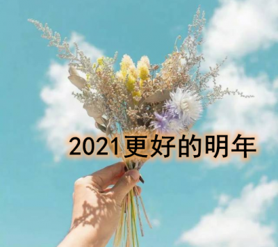 2021 更好的明年图片