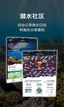 潜水相机app