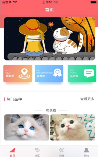 亲爱的猫咪APP截图