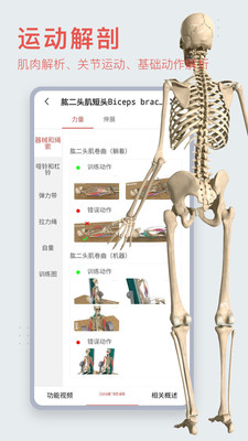 3DBodyAPP截图