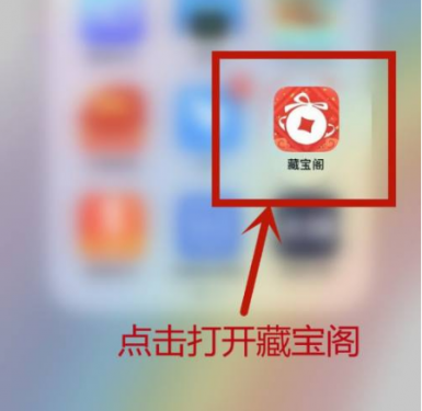 首先点击打开藏宝阁app。在这个界面我们任意选择一个需要