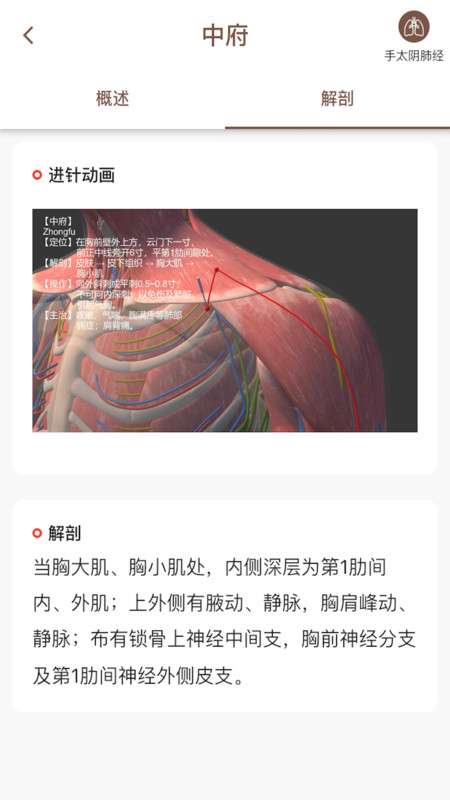 经络穴位3D