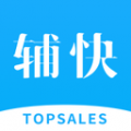 Topsales下载