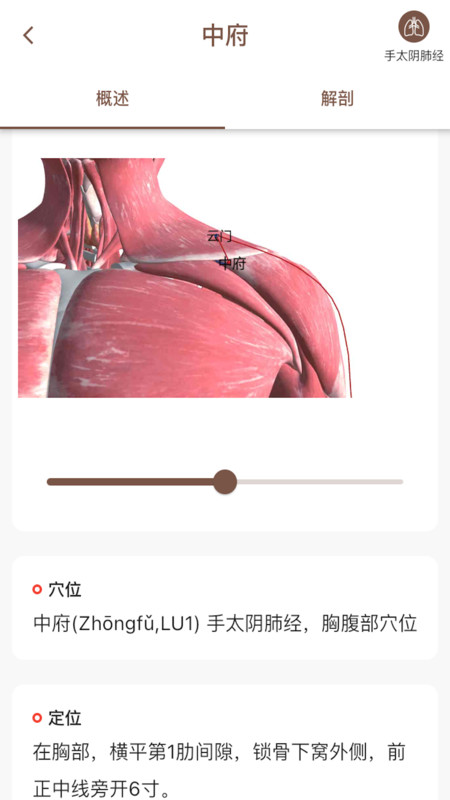 经络穴位3DAPP截图