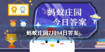 二师兄网1