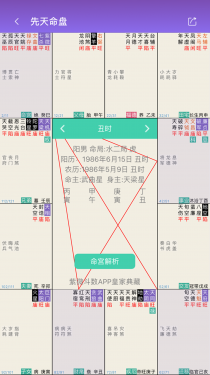 紫微斗数生辰八字APP截图