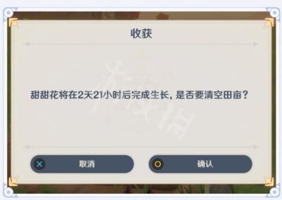 二师兄网10