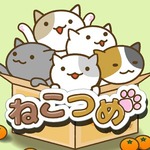 纸箱猫咪 汉化版