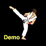 Final Karate Demo手游