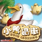 Duck Crossing