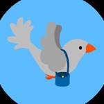 Carrier Pigeon