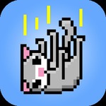 飞猫8bit的