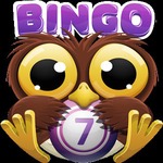 破解宾果 Bingo Crack手游