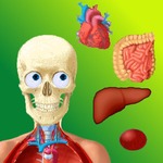 Puzzle Anatomy (didactic game)